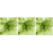 FOMMY DECO SOFT LARGE MONET VERDE SALVIA/VERDE